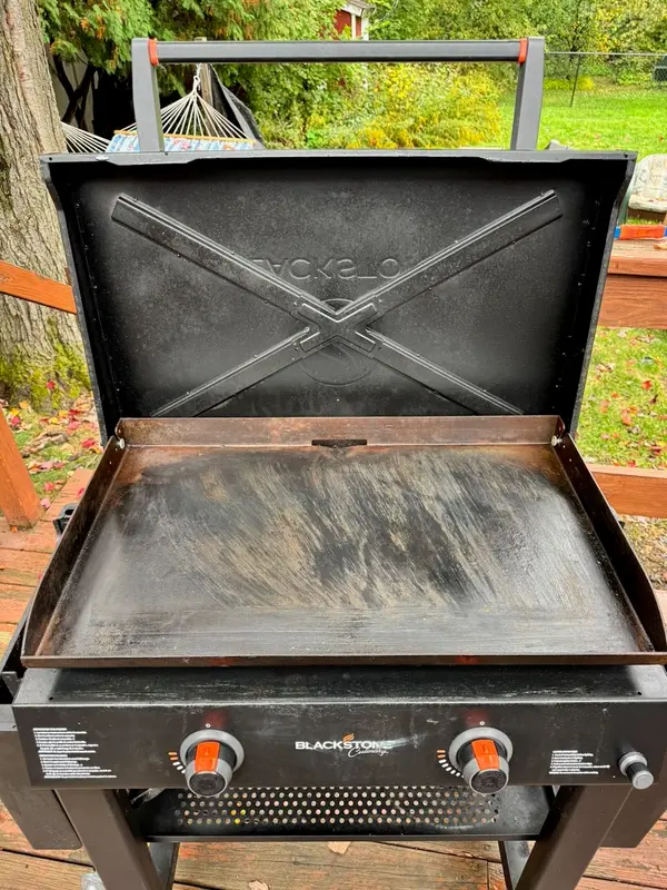 The Blackstone Griddle by Neural Partners - Image 5