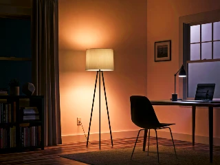 Floor Lamps