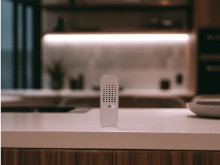 Fan Controls & Remotes