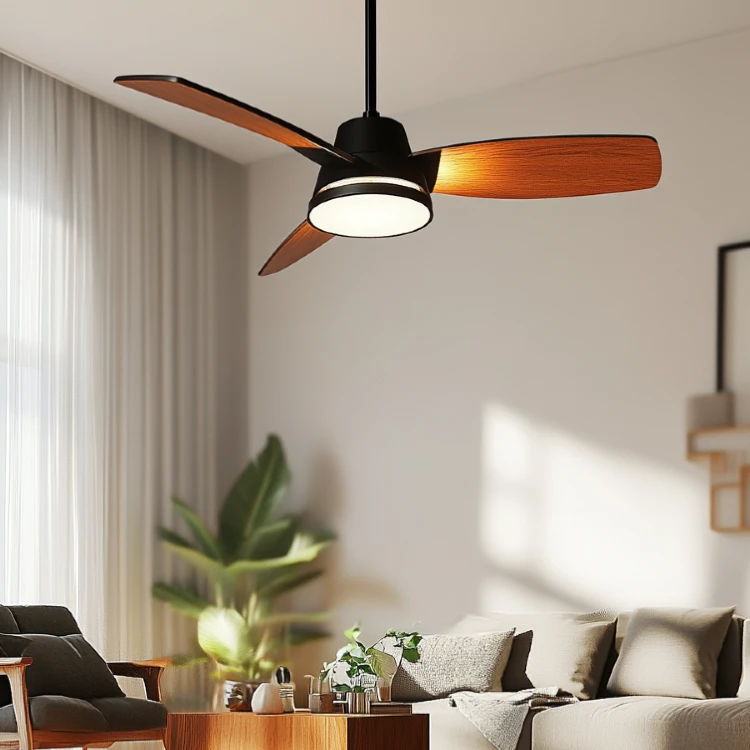 Ceiling Fans
