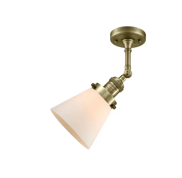 The Franklin Restoration by Innovations Lighting - Image 3