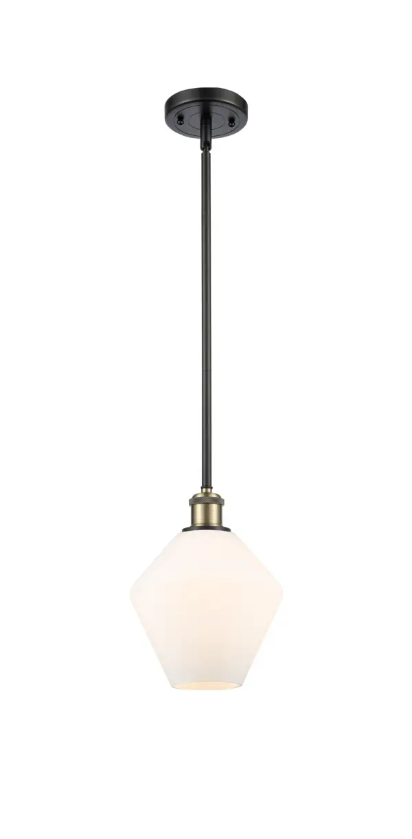A truly dynamic fixture, the Ballston fits seamlessly amidst most décor styles. Its sleek design and vast offering of finishes and shade options makes the Ballston an easy choice for all homes.