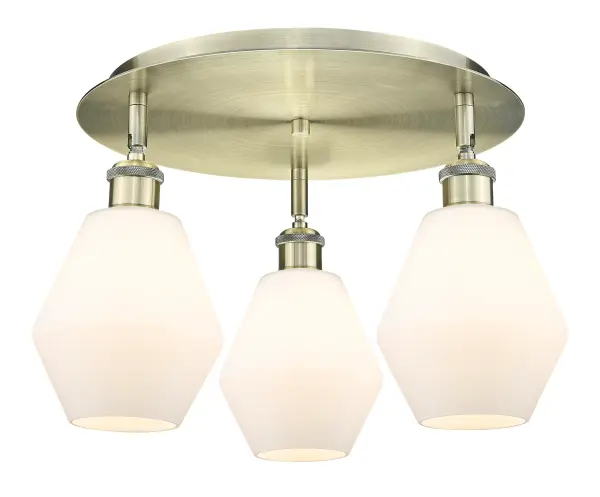 A truly dynamic fixture, the Ballston fits seamlessly amidst most décor styles. Its sleek design and vast offering of finishes and shade options makes the Ballston an easy choice for all homes.