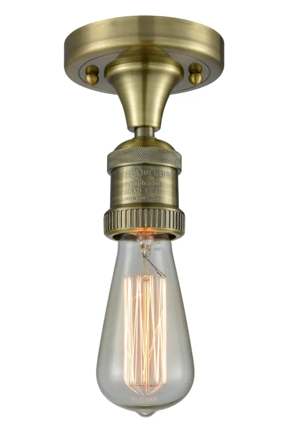 One of our largest and original collections, the Franklin Restoration is made up of a vast selection of heavy metal finishes and a large array of metal and glass shades that bring a touch of industrial into your home.