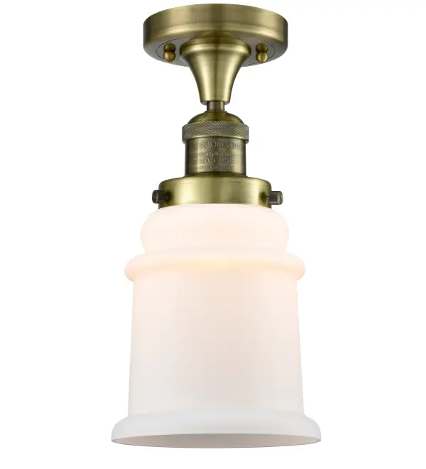 One of our largest and original collections, the Franklin Restoration is made up of a vast selection of heavy metal finishes and a large array of metal and glass shades that bring a touch of industrial into your home.