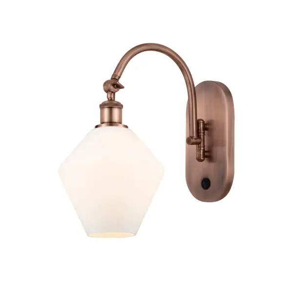 A truly dynamic fixture, the Ballston fits seamlessly amidst most décor styles. Its sleek design and vast offering of finishes and shade options makes the Ballston an easy choice for all homes.