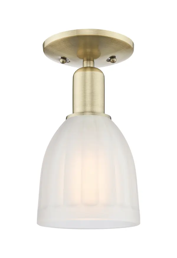 A truly dynamic fixture, the Arcadia fits seamlessly amidst most décor styles. Its sleek design and vast offering of finishes and shade options makes the Arcadia an easy choice for all homes.