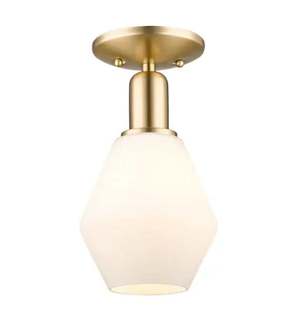 A truly dynamic fixture, the Arcadia fits seamlessly amidst most décor styles. Its sleek design and vast offering of finishes and shade options makes the Arcadia an easy choice for all homes.