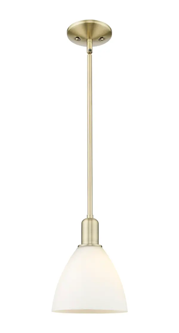 A truly dynamic fixture, the Arcadia fits seamlessly amidst most décor styles. Its sleek design and vast offering of finishes and shade options makes the Arcadia an easy choice for all homes.