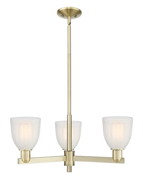 A truly dynamic fixture, the Arcadia fits seamlessly amidst most décor styles. Its sleek design and vast offering of finishes and shade options makes the Arcadia an easy choice for all homes.