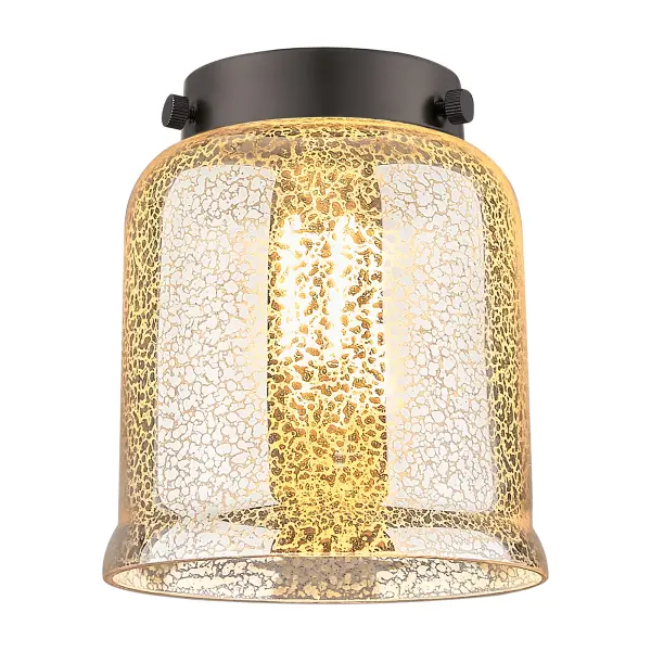 One of our largest and original collections, the Franklin Restoration is made up of a vast selection of heavy metal finishes and a large array of metal and glass shades that bring a touch of industrial into your home.