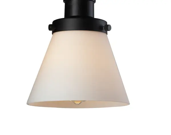 One of our largest and original collections, the Franklin Restoration is made up of a vast selection of heavy metal finishes and a large array of metal and glass shades that bring a touch of industrial into your home.