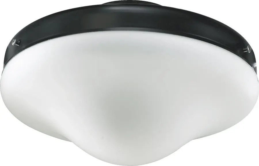 Opal Glass LED Light Kit in Matte Black