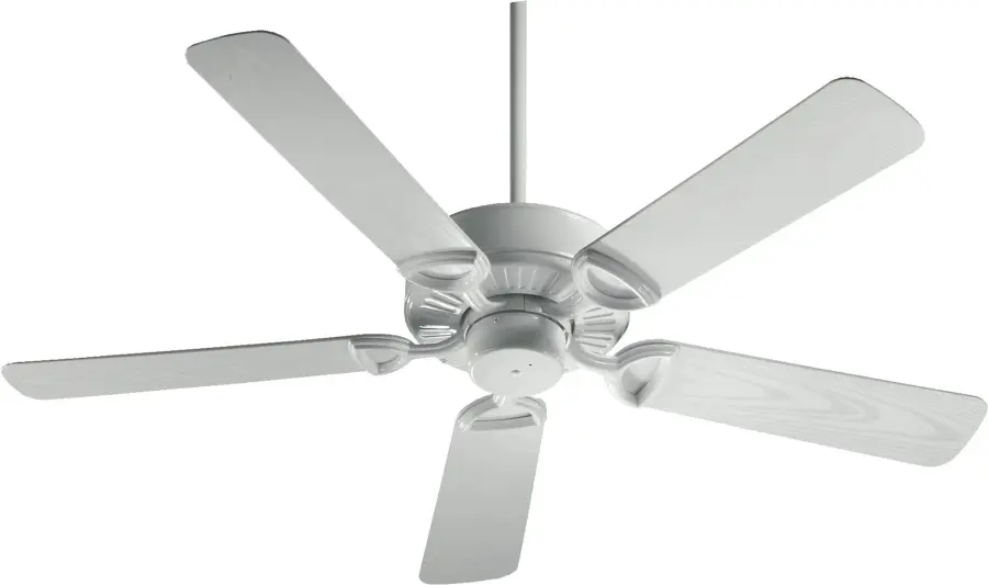 Durable Wet-Rated Fan Perfect for Covered Outdoor Spaces