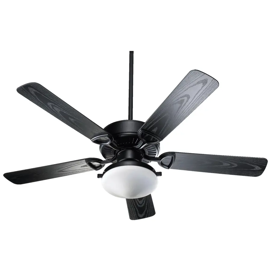 Durable Wet-Rated Fan for Indoor & Outdoor Spaces