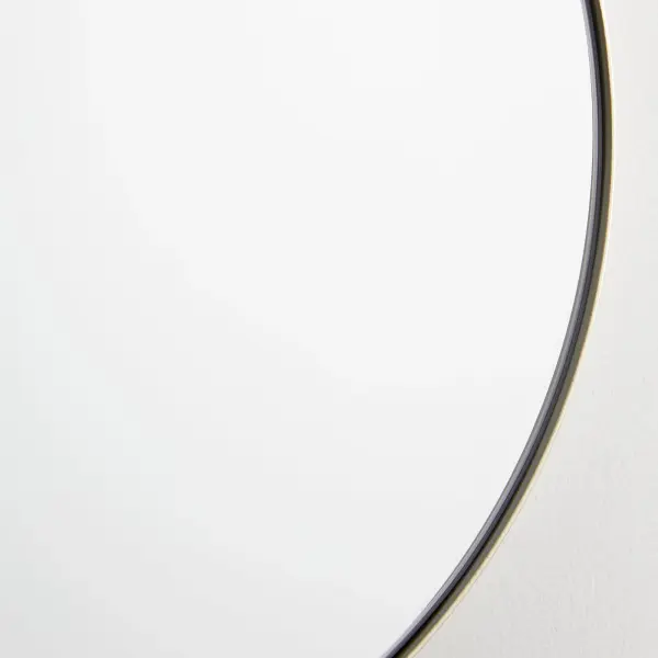 Capsule 20" x 32" Pill-Shaped Mirror in Silver - Image 3