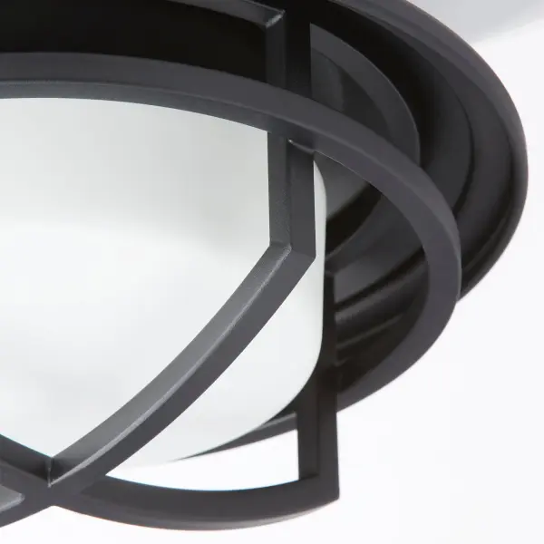 The Windmill LED Cage Kit transforms ceiling fan lighting with architectural precision. Bold black spokes frame a frosted diffuser, delivering clean LED light with industrial-modern style. Perfect for spaces seeking functional beauty. - alternate view