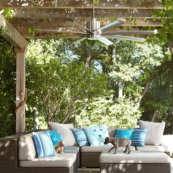 Proxima Patio 60" Indoor/Outdoor Ceiling Fan - Image 3