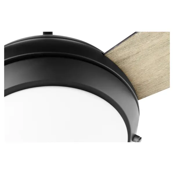 The Expo ceiling fan combines powerful air circulation with near-silent operation, making it ideal for large residential and commercial spaces. Features reversible motor for year-round comfort and integrated LED lighting. - alternate view