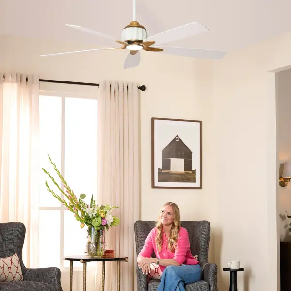 Ophelia 60" 5-Speed Ceiling Fan with Light - Image 7
