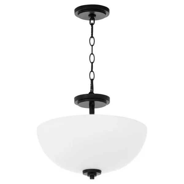 Versatile Dual-Function Fixture with Classic Dome Design - Image 1