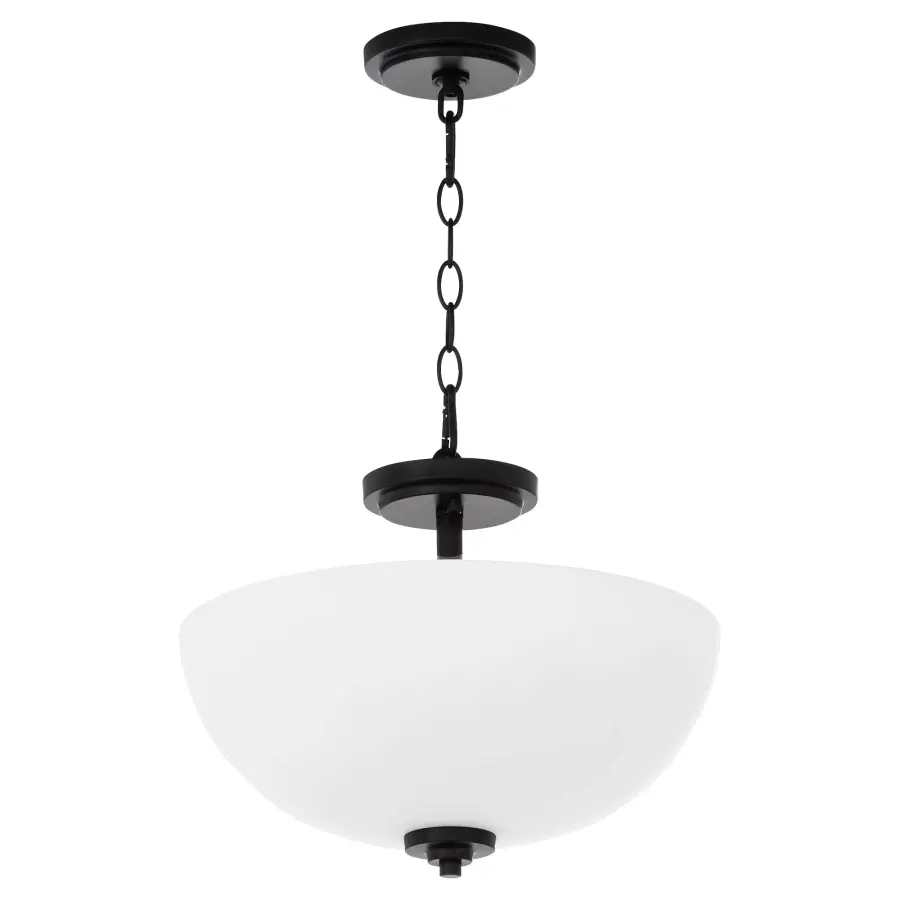 Versatile Dual-Function Fixture with Classic Dome Design - Image 1