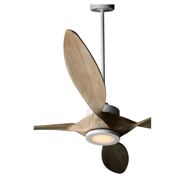 Papillon 66" WiFi Ceiling Fan - Image 3