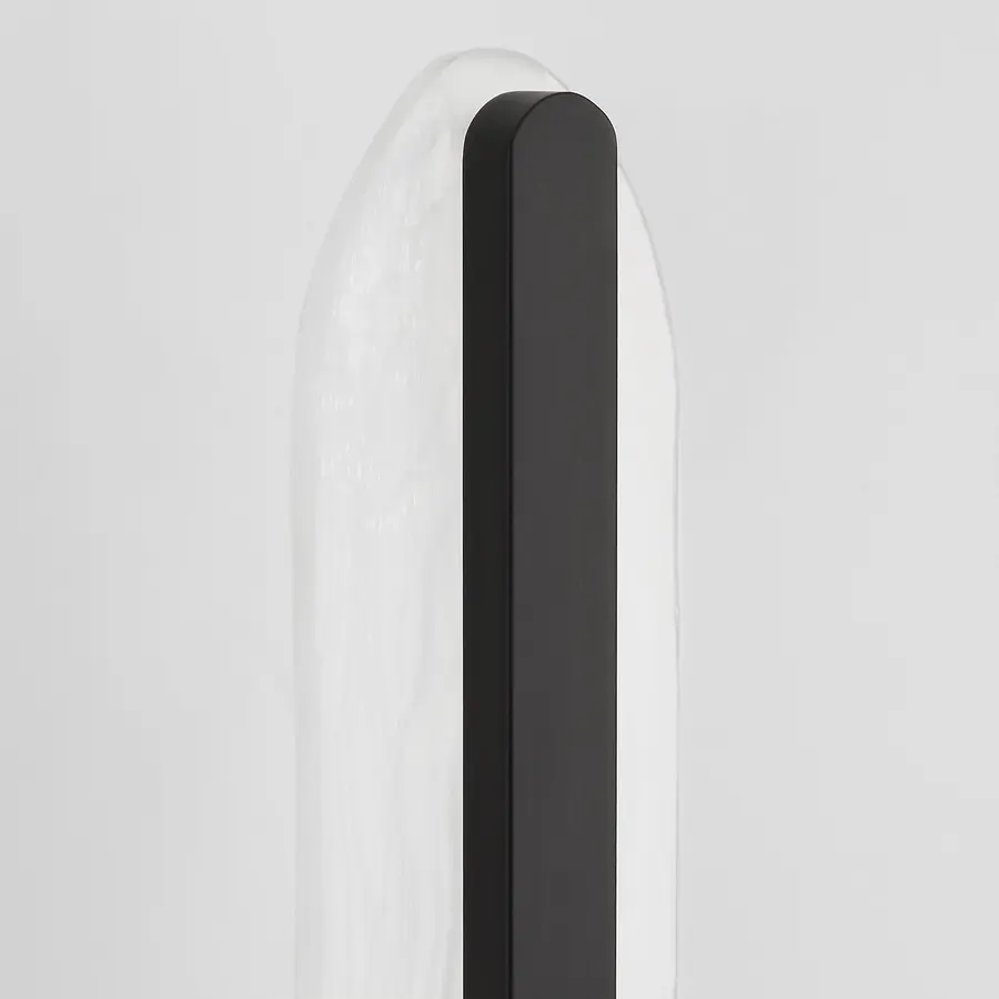 Avian LED Wall Sconce in Black - Image 5
