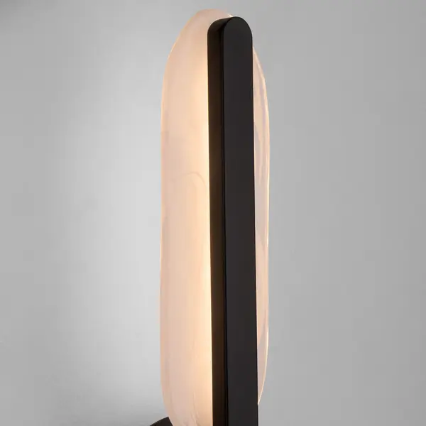 Avian LED Vanity Light in Black - Image 4