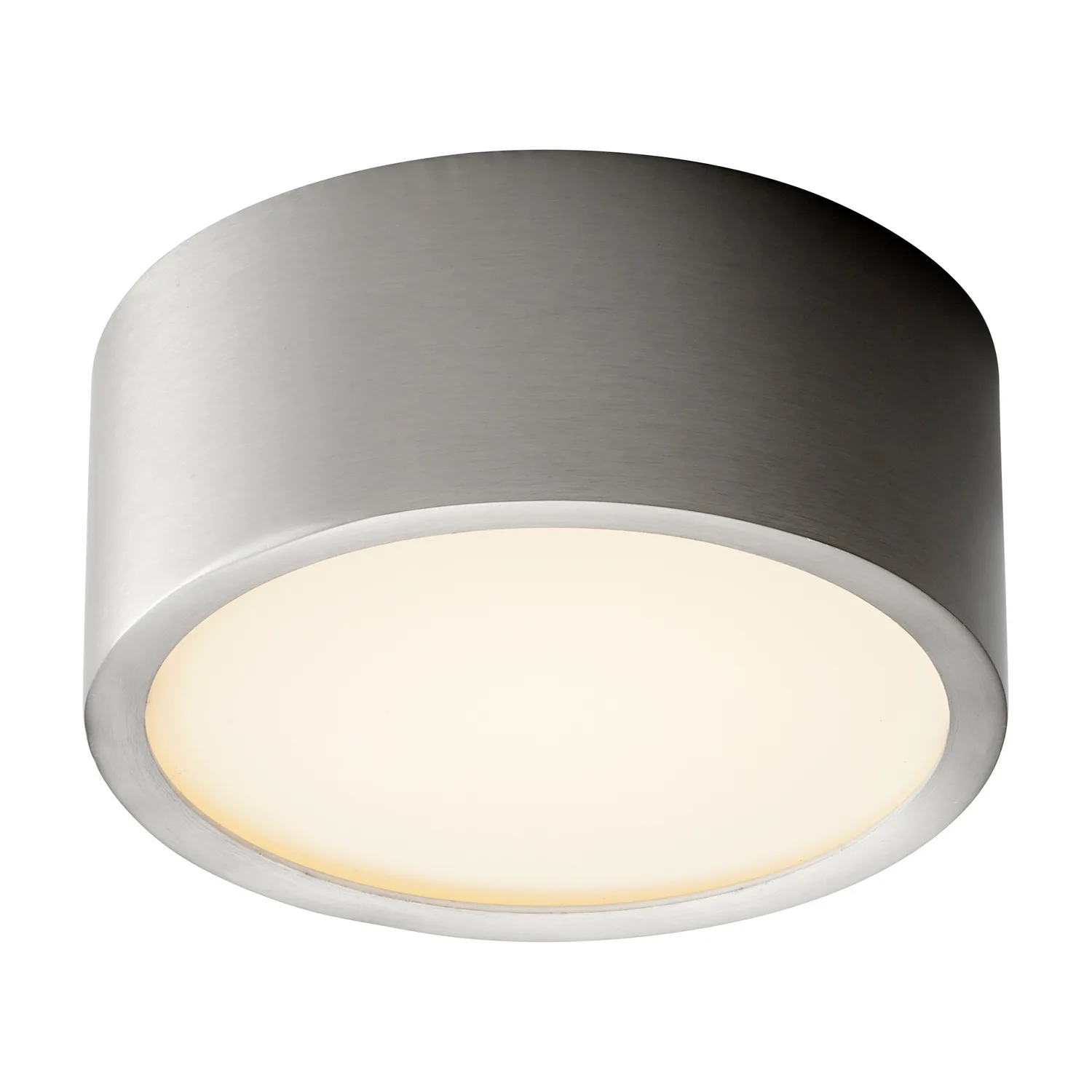 Peepers LED Flush Mount in Satin Nickel