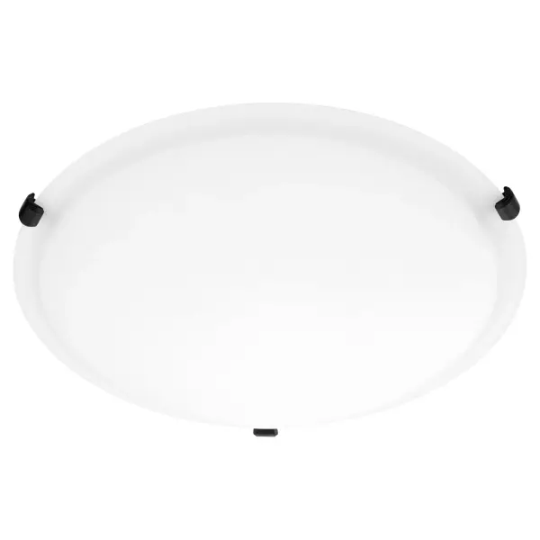 16" Satin Opal Ceiling Mount in Matte Black