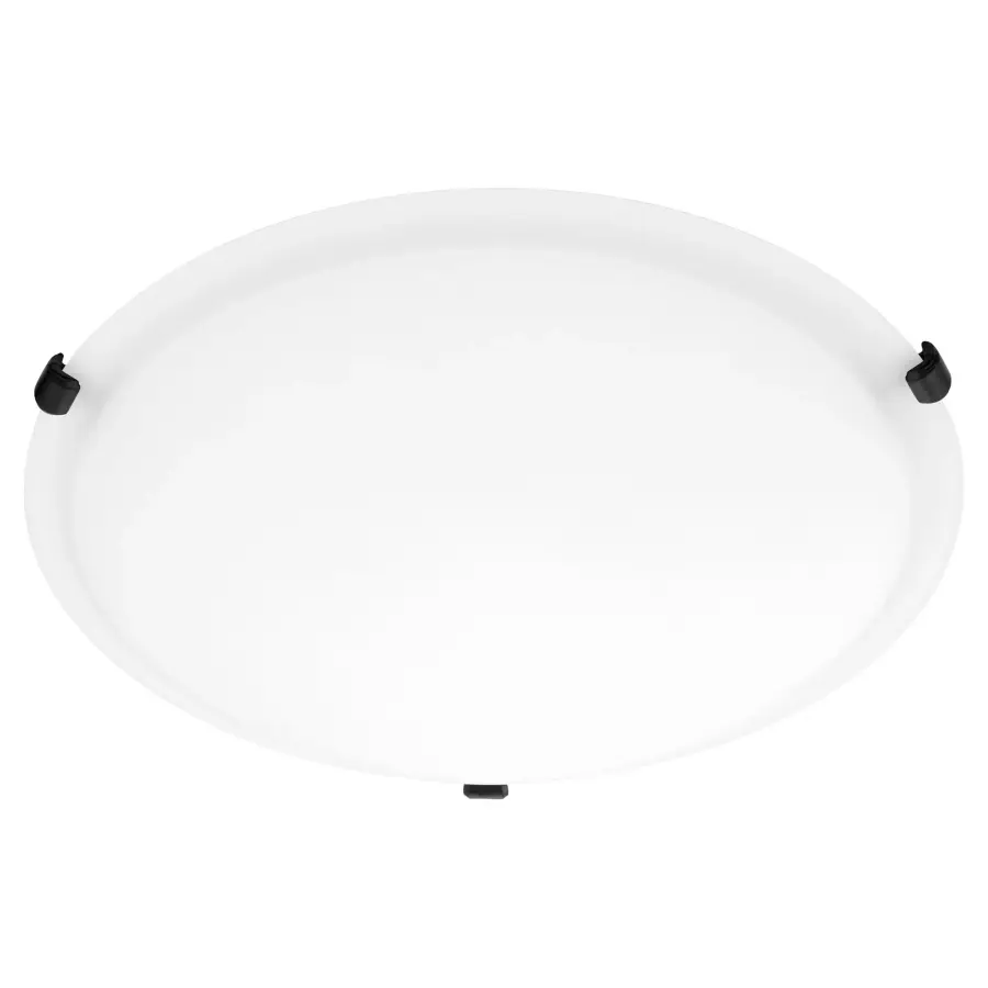 16" Satin Opal Ceiling Mount in Matte Black