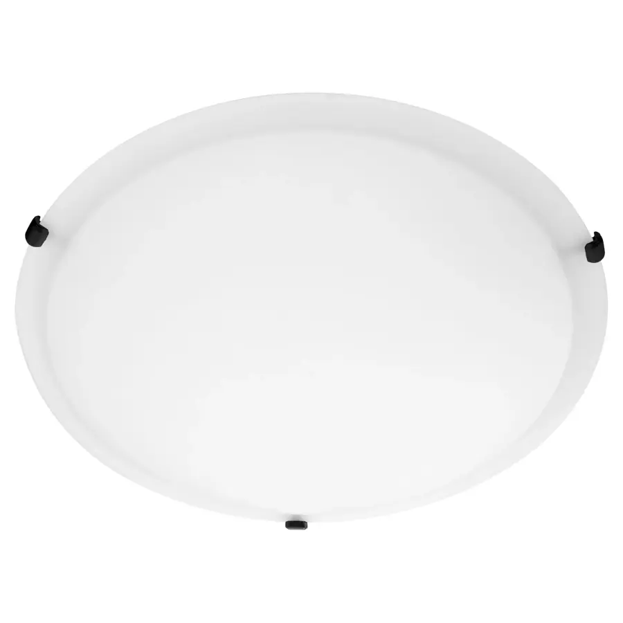 20" Satin Opal Ceiling Mount in Matte Black