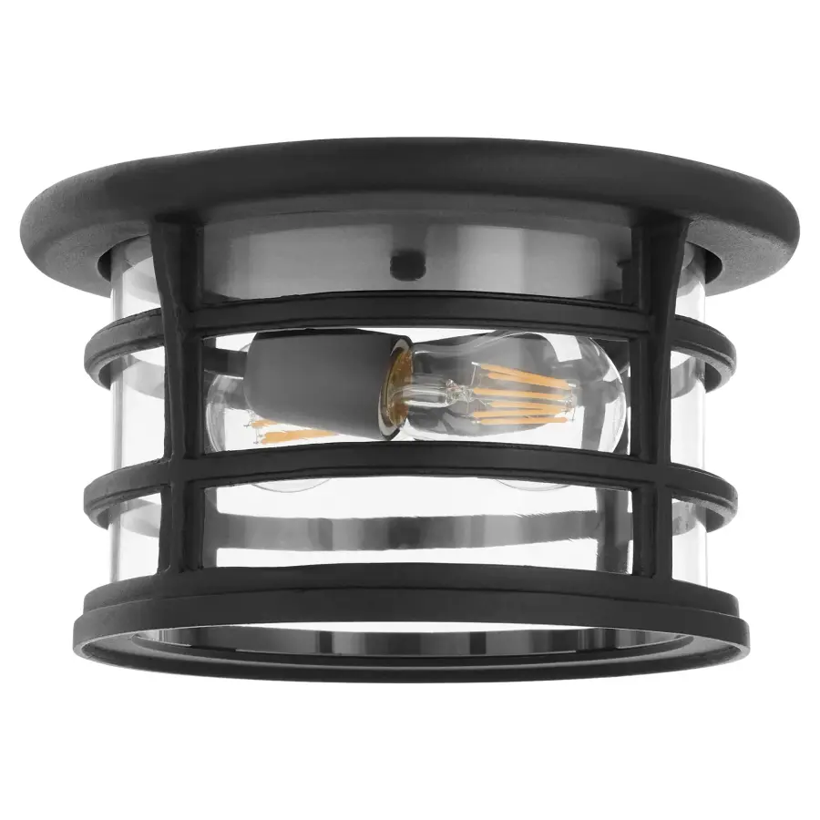 Haley 7" 2-Light Outdoor Ceiling Mount - Image 1