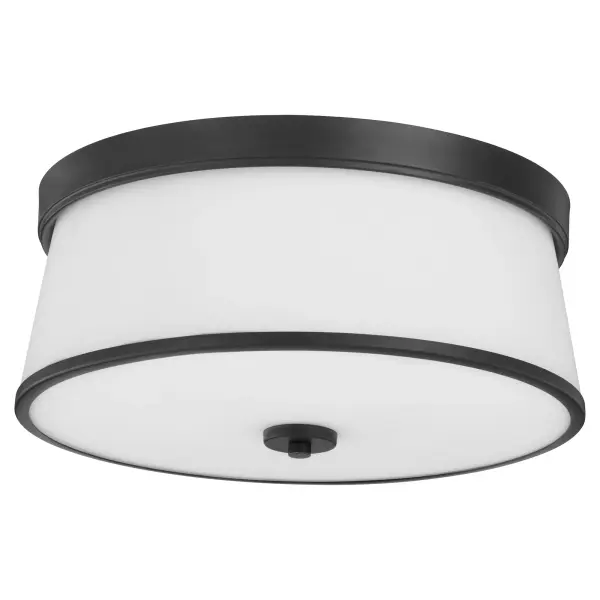 The Weir 16" ceiling mount combines clean contemporary design with practical functionality. Its satin opal glass cylinder and matte black finish create a sophisticated look perfect for modern spaces requiring ambient lighting.