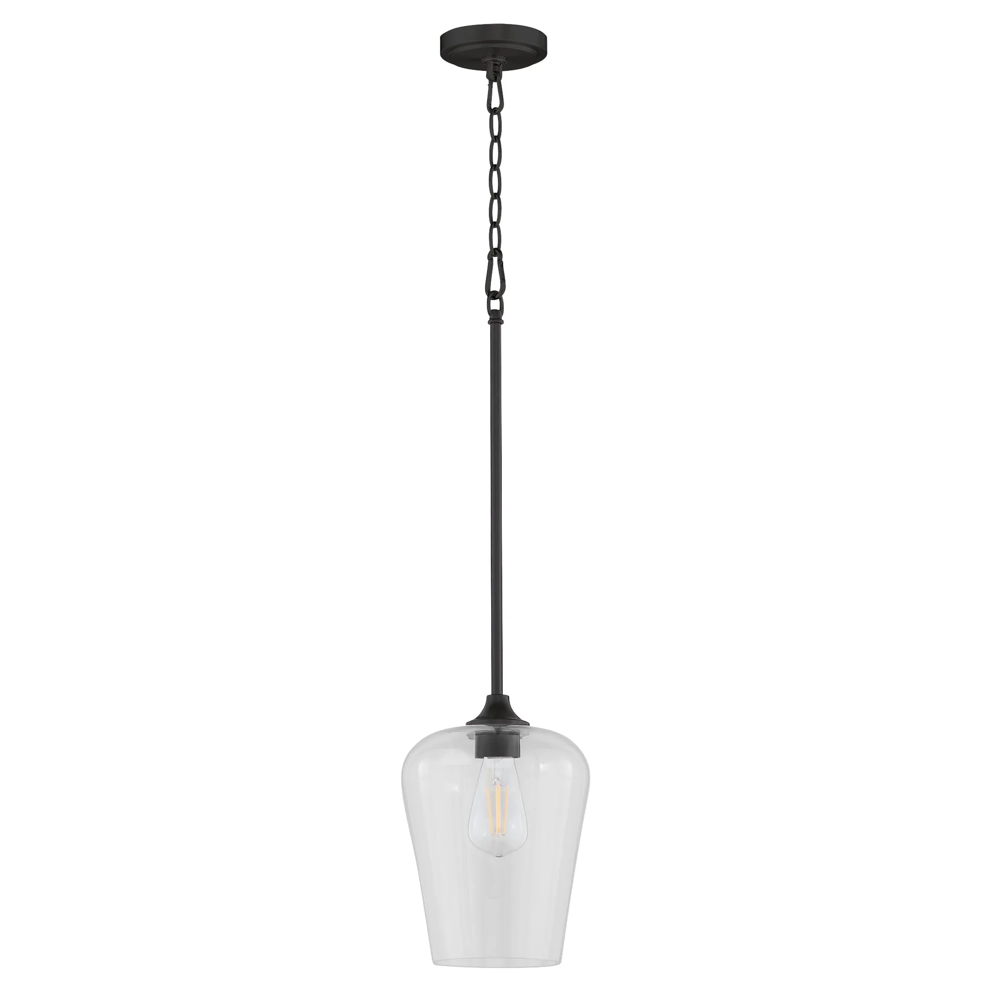 Raymond 1-Light Pendant in Matte Black