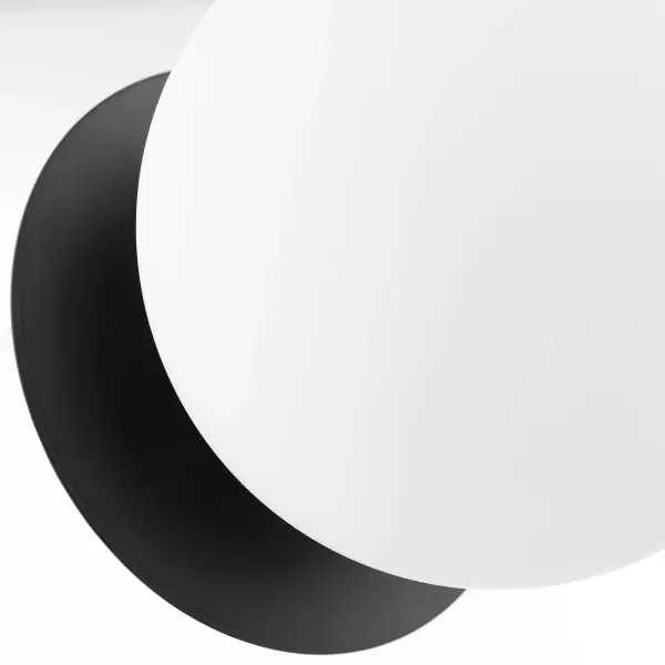 Jasper Matte Black Globe Wall Sconce - Image 3