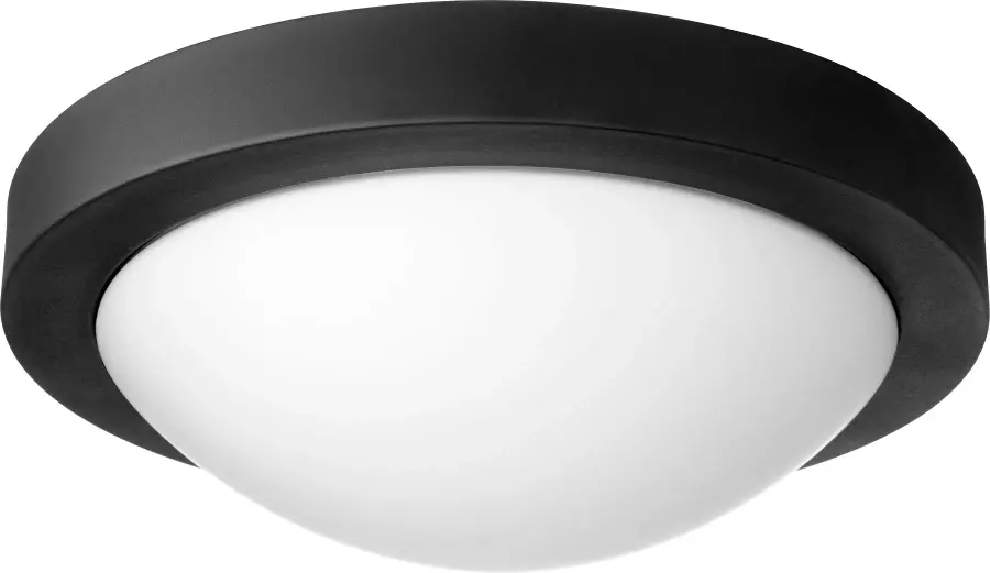 13" Ceiling Mount in Black - Image 1