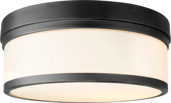 The Celeste 14" ceiling mount combines noir black finish with satin opal glass for a sophisticated, modern look. Its compact size and clean lines make it ideal for smaller spaces needing ambient lighting. - alternate view