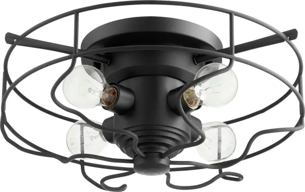 17" Ceiling Mount in Black - Image 1