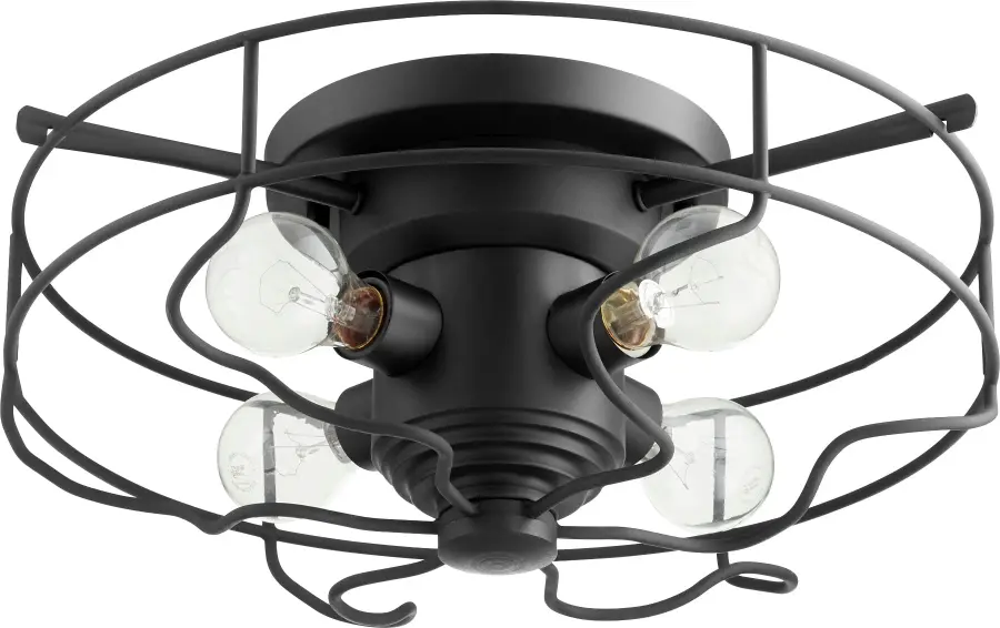 17" Ceiling Mount in Black - Image 1