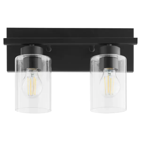 Carter 2-Light Vanity Light in Matte Black - Image 1