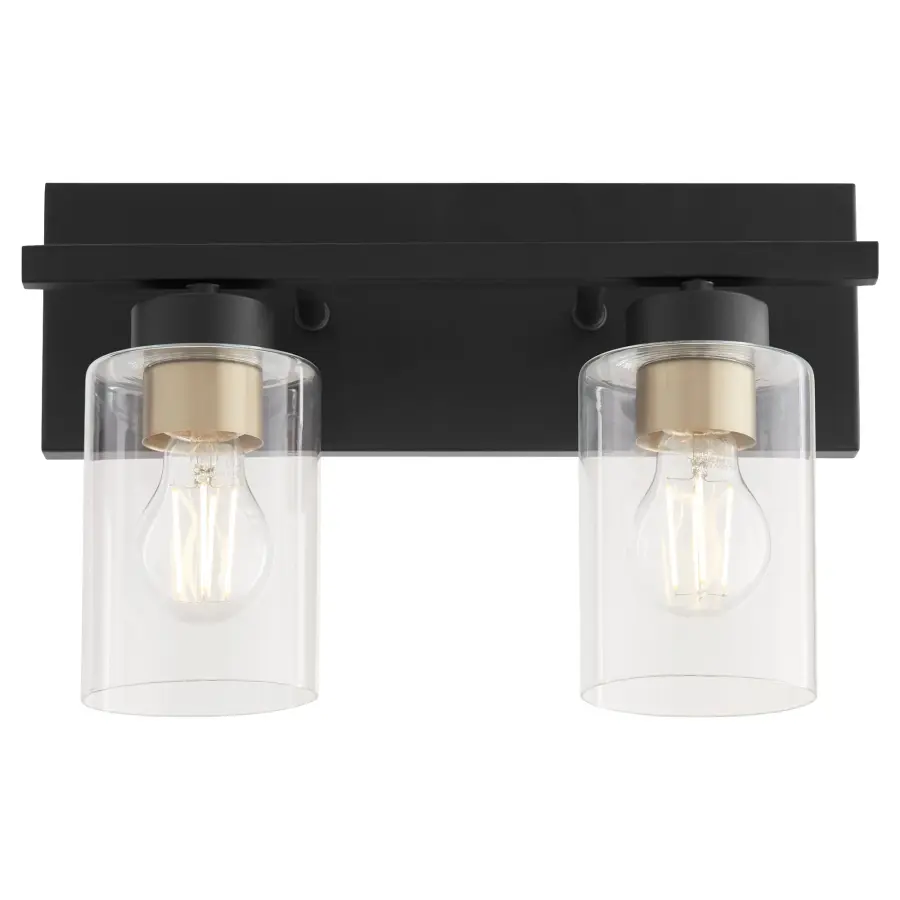 Carter 2-Light Vanity Light in Matte Black - Image 8