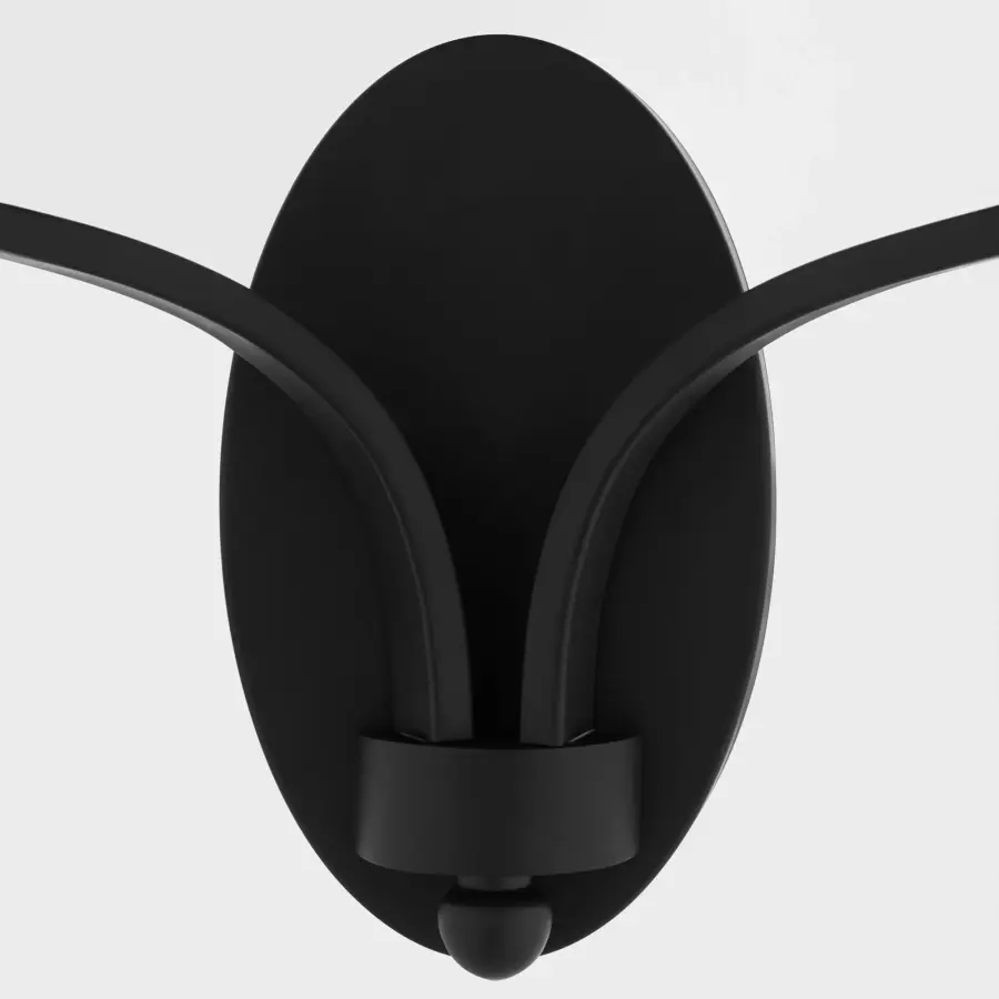 Chantelle 2-Light Wall Sconce in Matte Black - Image 4
