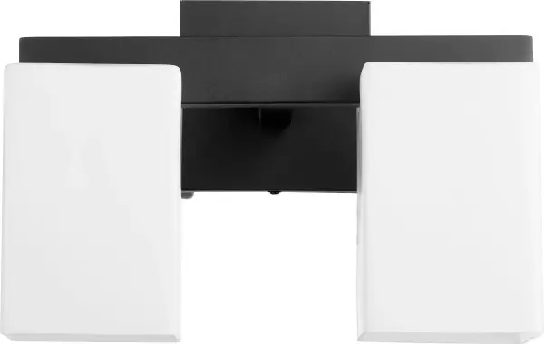 The Modus 2-Light Wall Sconce delivers contemporary elegance with its rectangular silhouette and clean lines. The Noir finish adds sophisticated contrast, making it versatile for modern interiors.