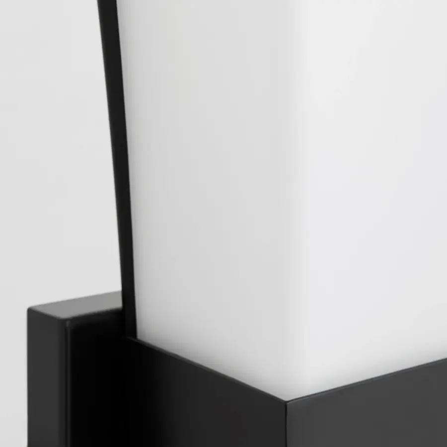 Ayala 2-Light Wall Sconce in Matte Black - Image 9