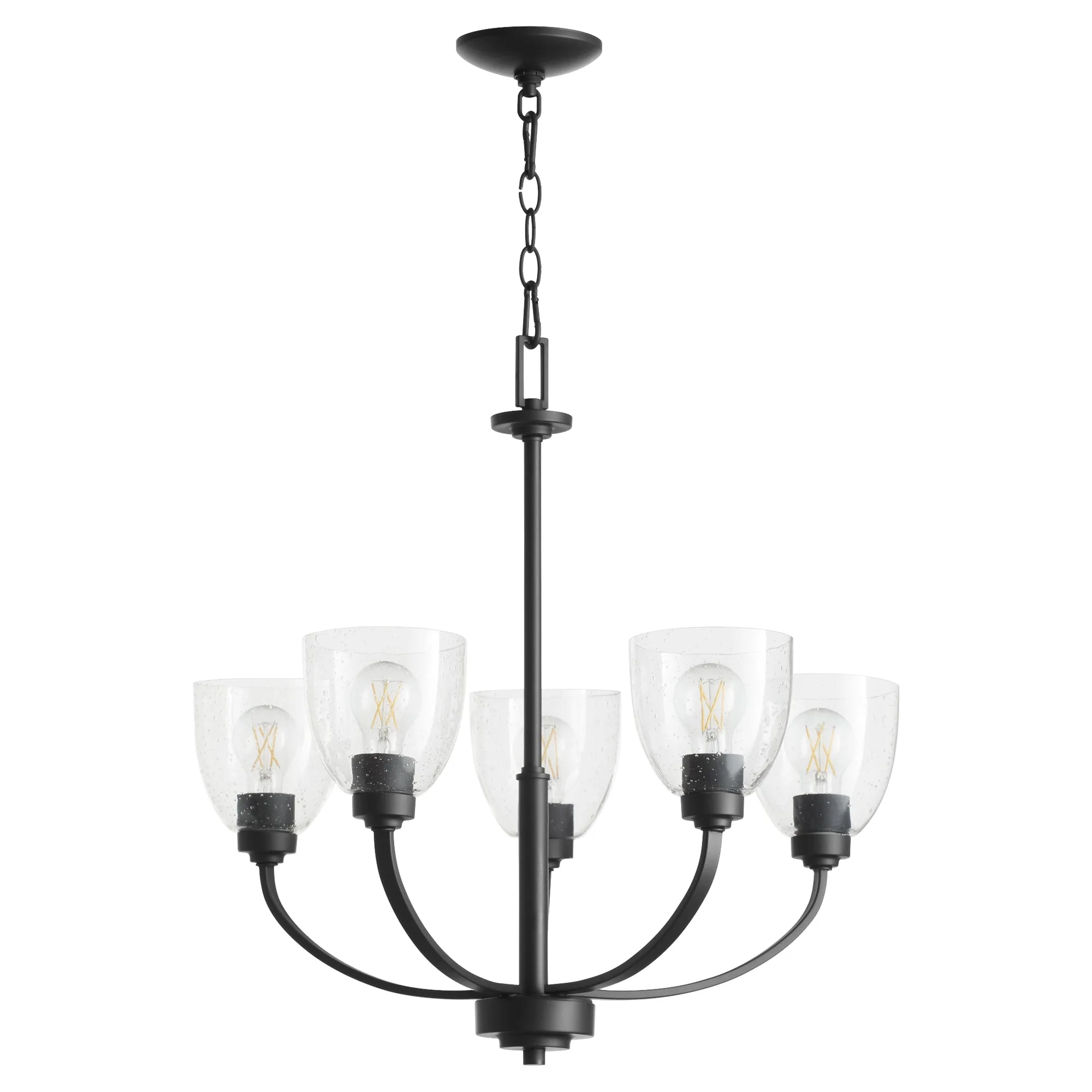 Reyes 5-Light Clear Seeded Glass Chandelier in Textured Black