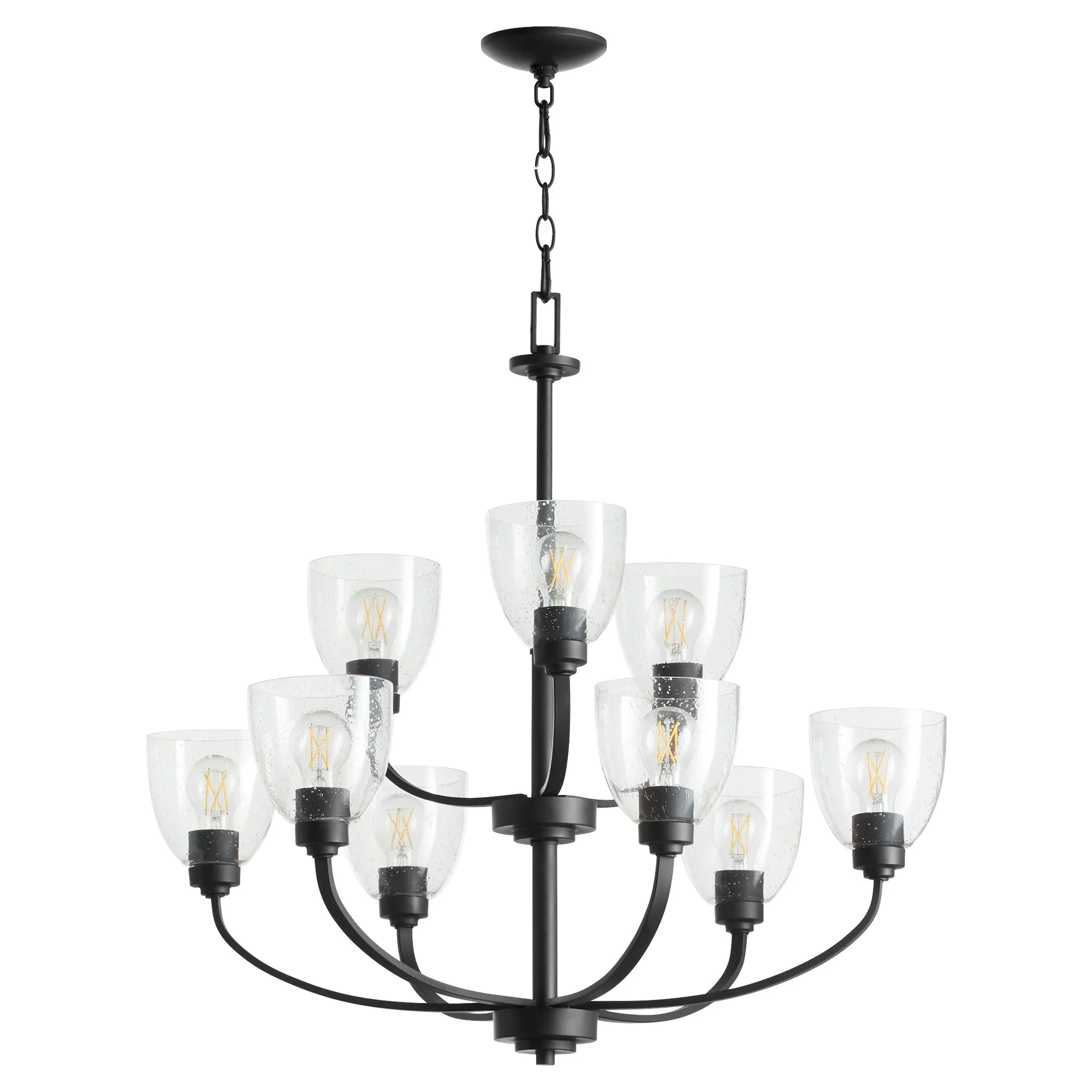 Reyes 9-Light Clear Seeded Glass Chandelier in Textured Black