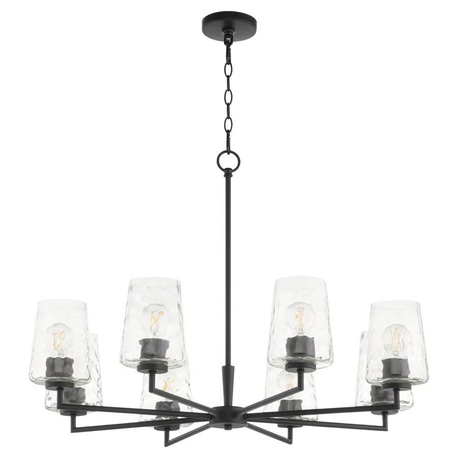 Goodwin 8-Light Chandelier in Matte Black - Image 1