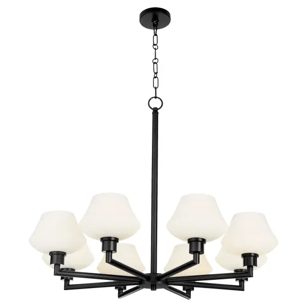 Modern Elegance Meets Industrial Edge in Versatile 8-Light Design - Image 2